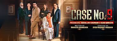 Case no 9 Overview:101 for rape victims, a powerful take on Justice